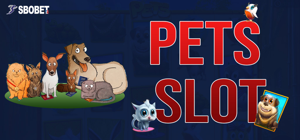 พนันสล็อต Pets เกมสล็อตออนไลน์ที่มาพร้อมน่ารักของเหล่าสัตว์เลี้ยง